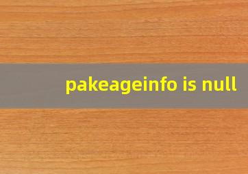 pakeageinfo is null